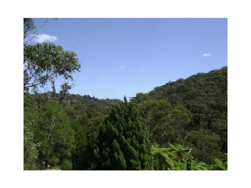 25 Lady Davidson Circuit, Forestville NSW 2087