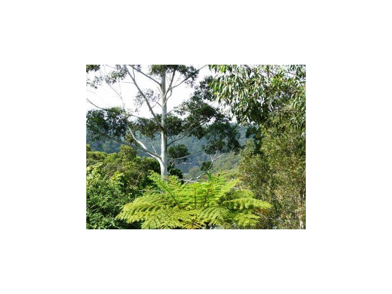 12 Boree Road, Forestville NSW 2087