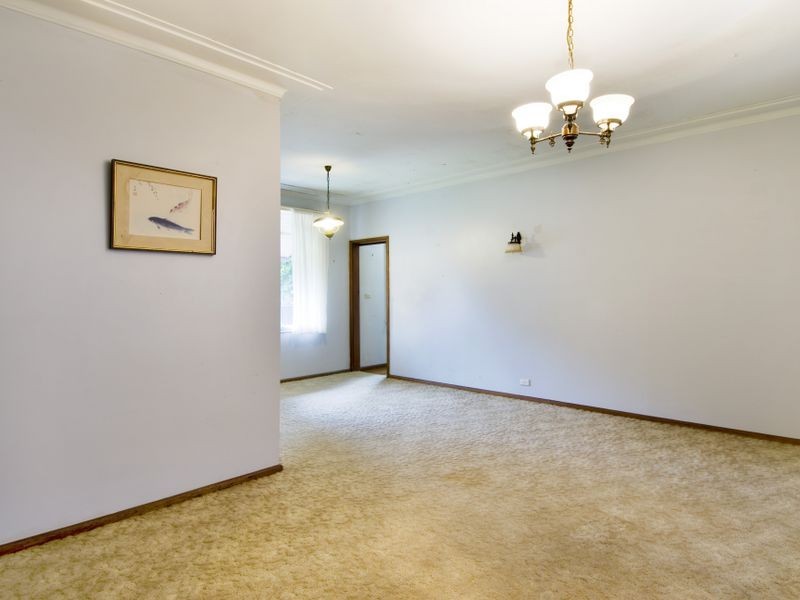 21 Bentley Avenue, Forestville NSW 2087