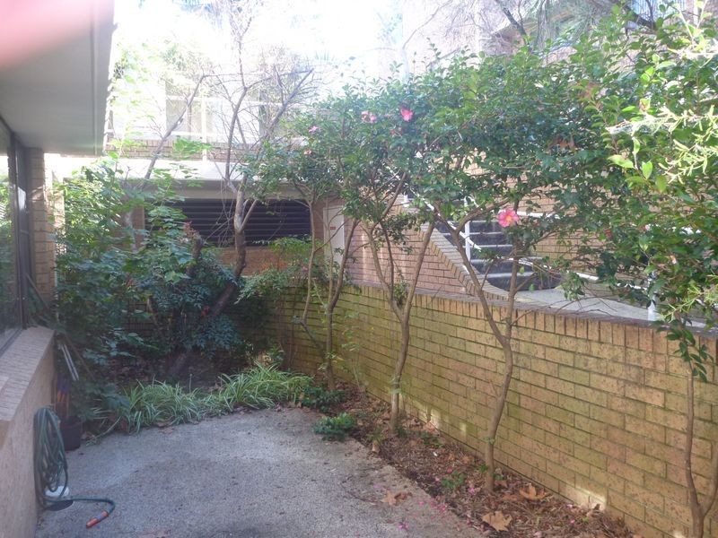 1/374-376 Miller Street, Cammeray NSW 2062