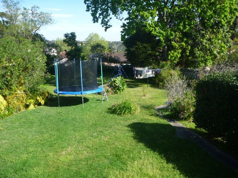 19 Ryrie Avenue, Forestville NSW 2087