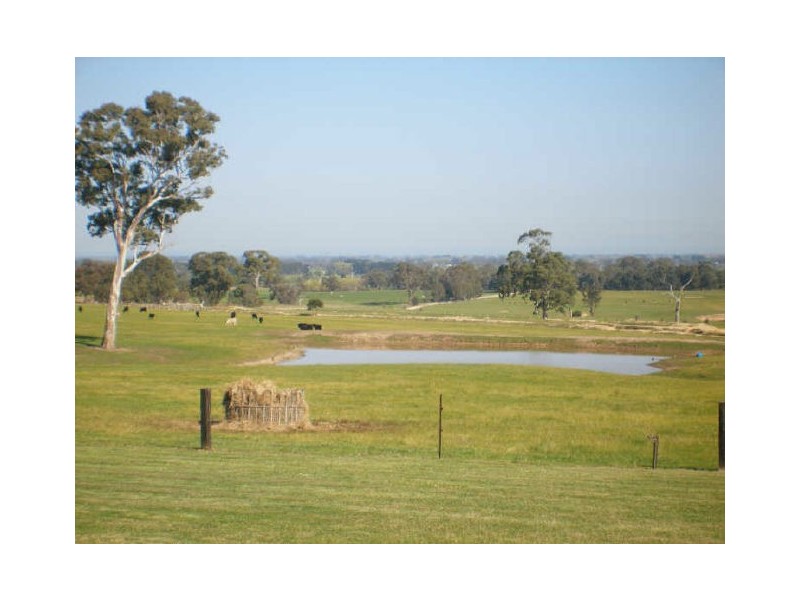 11 Rawlings Road, Newry VIC 3859