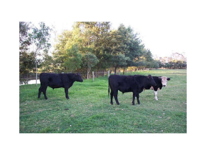 Tinamba Road, Maffra VIC 3860