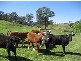 268 McIntyres Road, Briagolong VIC 3860