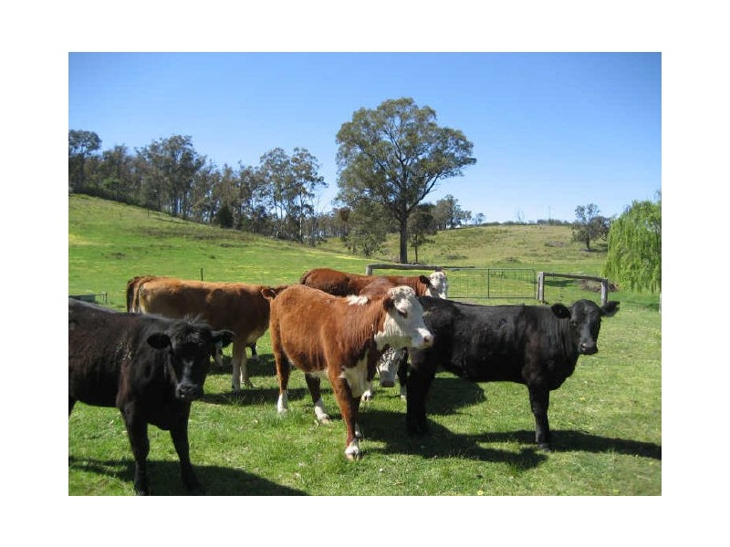 268 McIntyres Road, Briagolong VIC 3860