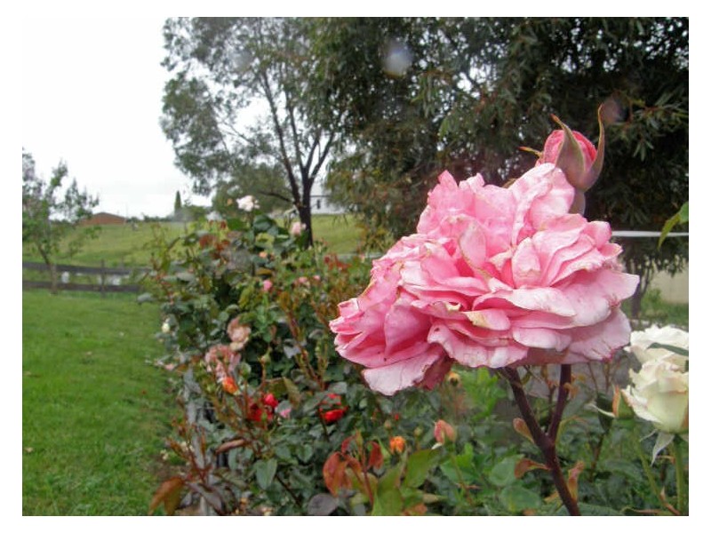 8 Hastings Street, Newry VIC 3859