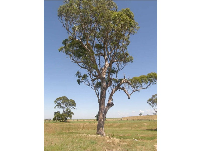 Scotts Lane, Maffra VIC 3860