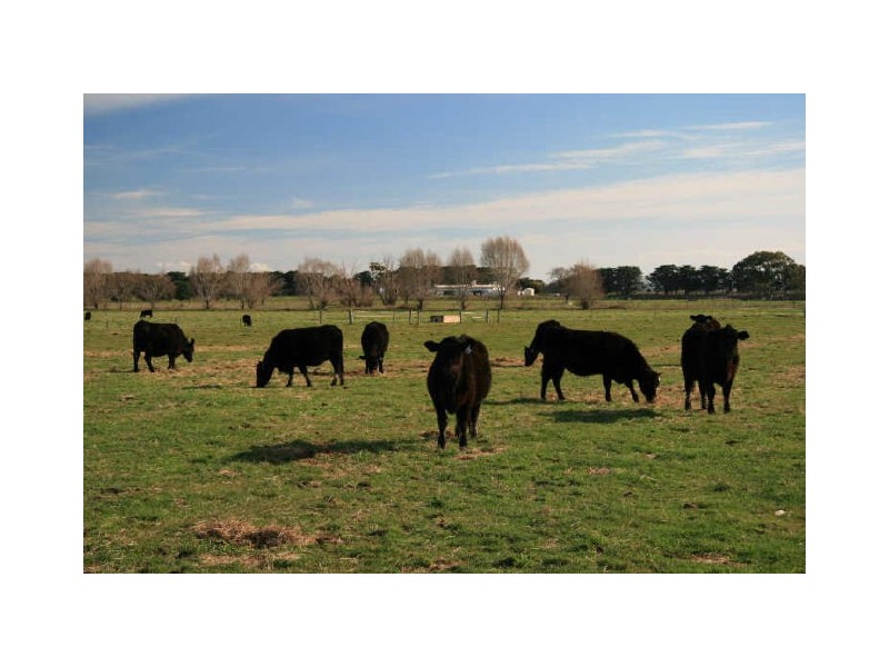 32 Vardy’s Road, Riverslea VIC 3860