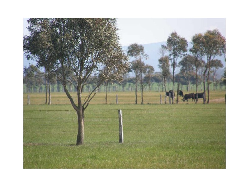 Lot 4 Denison Road, Rosedale VIC 3847
