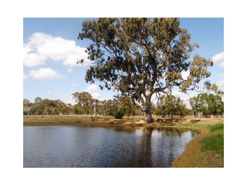 158 Sandy Creek Road, Maffra VIC 3860