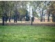155 Back Boisdale Road, Boisdale VIC 3860
