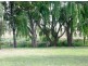 155 Back Boisdale Road, Boisdale VIC 3860