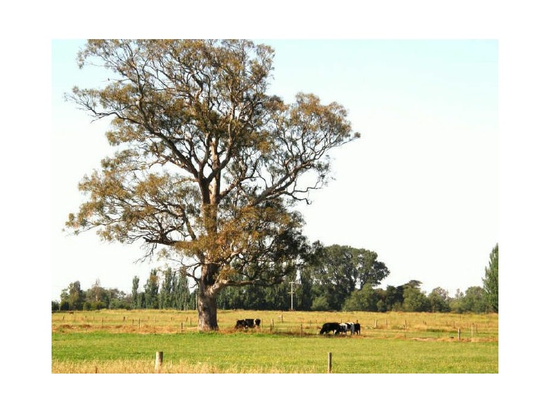 353 Tinamba-Newry Road, Newry VIC 3859