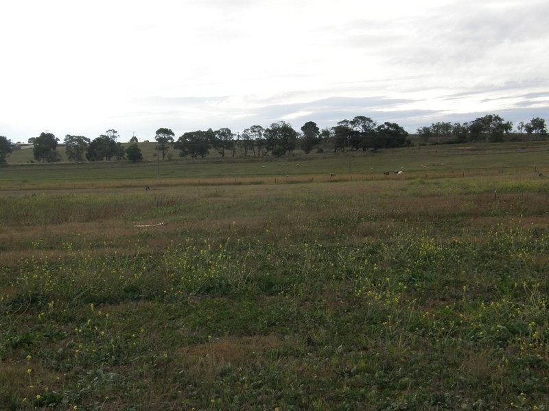 65 Maffra-Sale Rd, Maffra VIC 3860