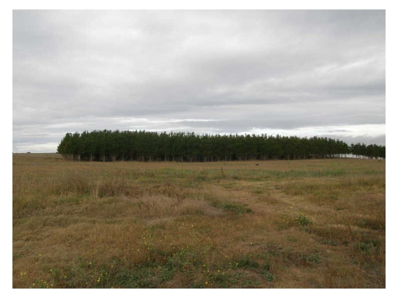 65 Maffra-Sale Rd, Maffra VIC 3860