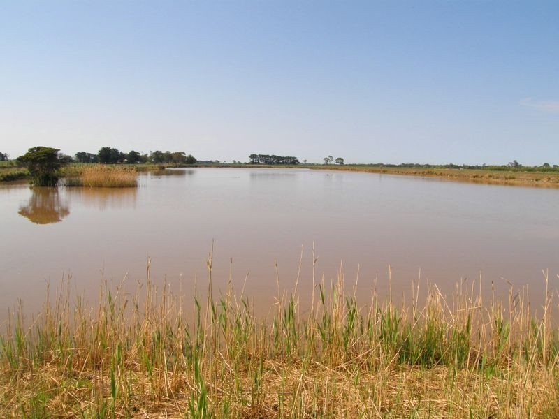 Traralgon-Maffra Road, Tinamba VIC 3859