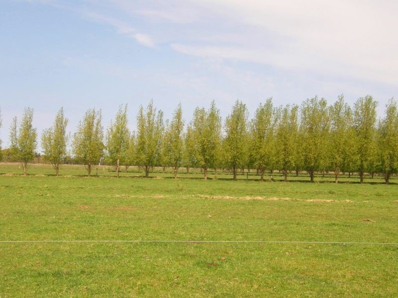 Traralgon-Maffra Road, Tinamba VIC 3859