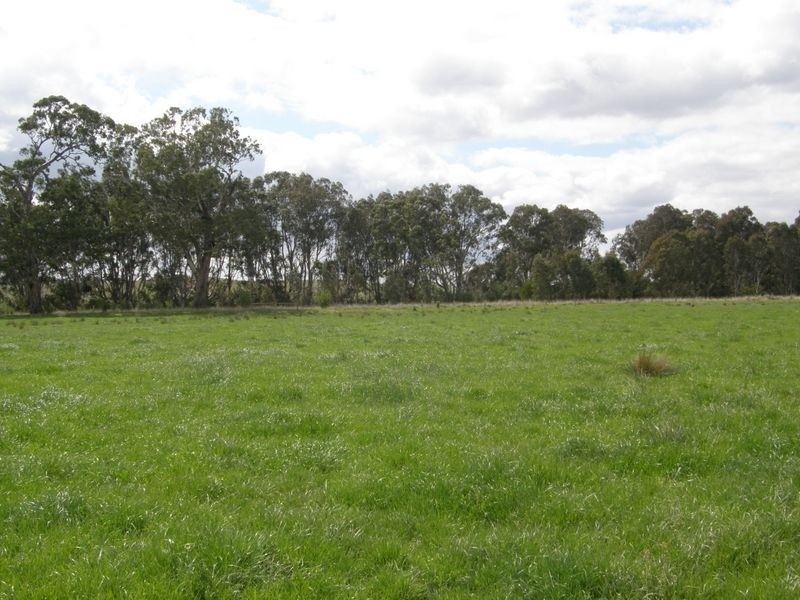 Lower Newry Road, Maffra VIC 3860