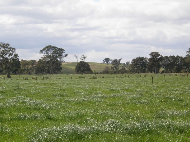 Lower Newry Road, Maffra VIC 3860