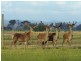 204 Luckmans Road, Boisdale VIC 3860
