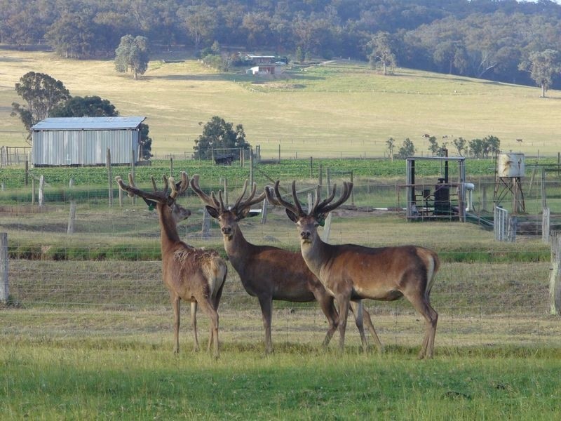 204 Luckmans Road, Boisdale VIC 3860