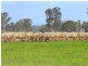 204 Luckmans Road, Boisdale VIC 3860