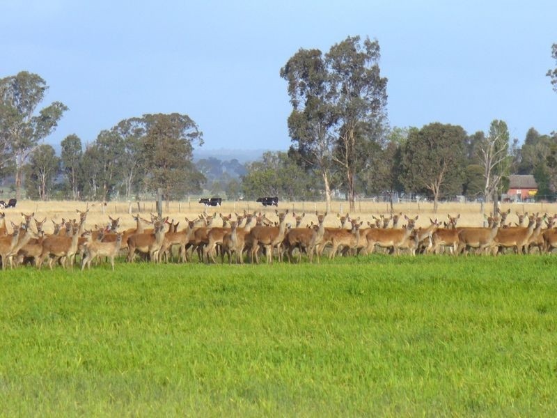 204 Luckmans Road, Boisdale VIC 3860