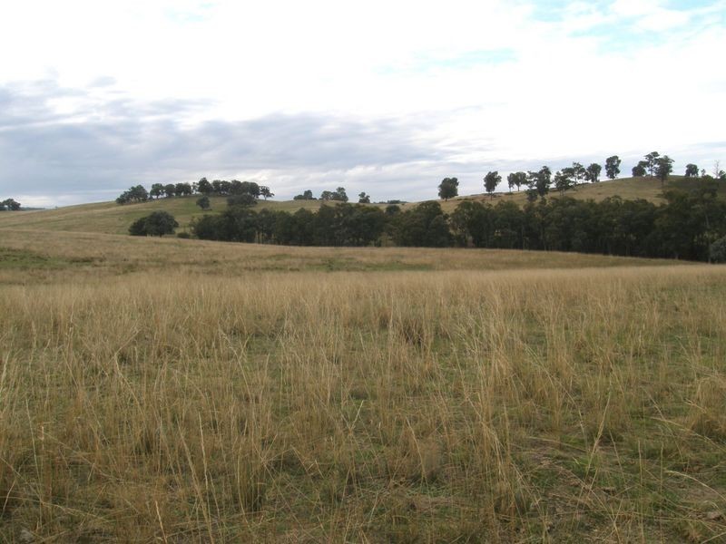 Kentucky Road, Newry VIC 3859