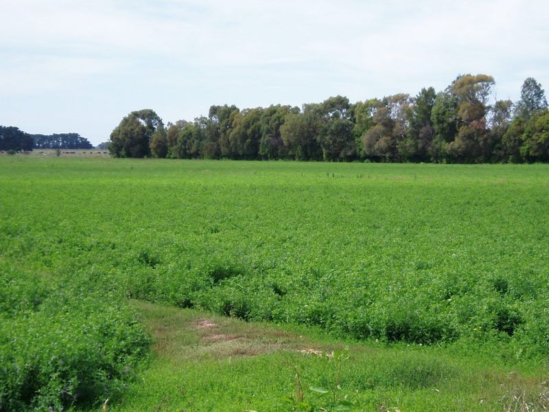 1167 Denison Road, Denison VIC 3858