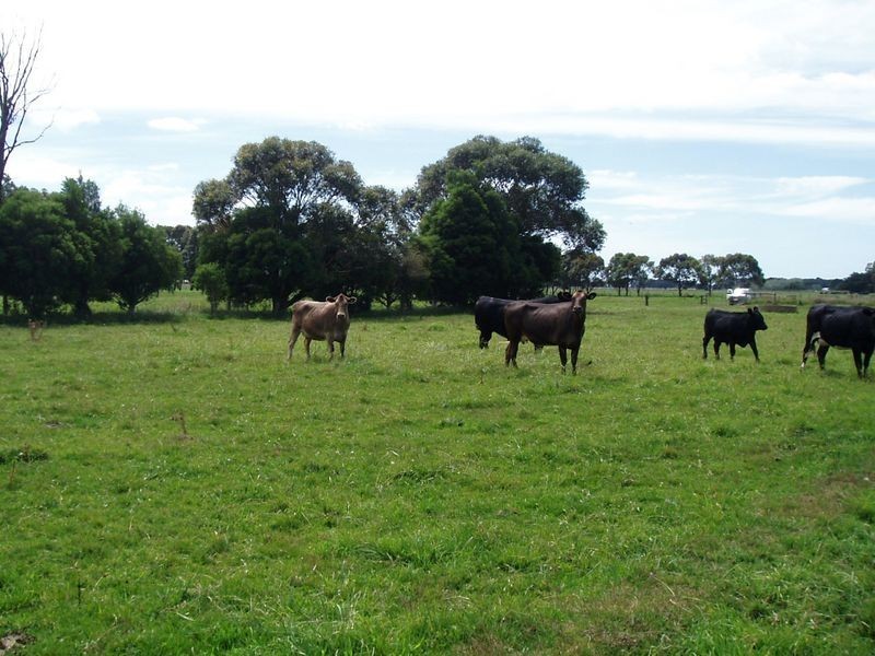 1167 Denison Road, Denison VIC 3858