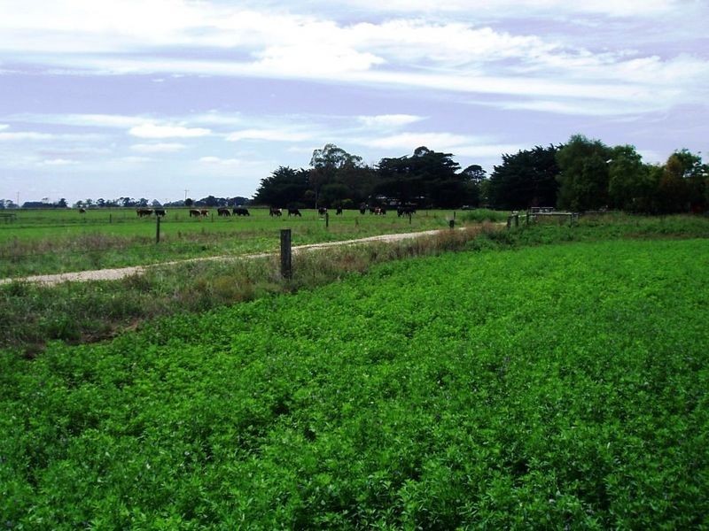 1167 Denison Road, Denison VIC 3858