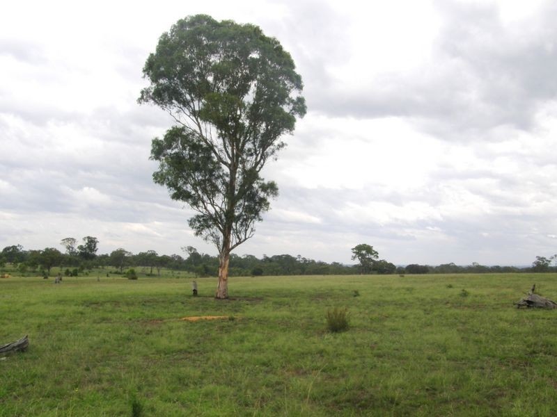 Sellings Road, Maffra VIC 3860