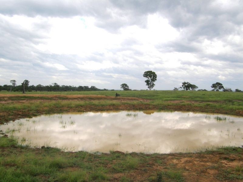 Sellings Road, Maffra VIC 3860