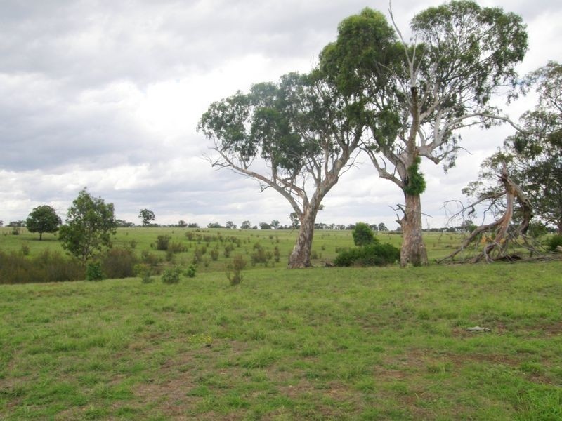 Sellings Road, Maffra VIC 3860