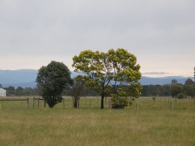 Snowview Estate, Maffra VIC 3860