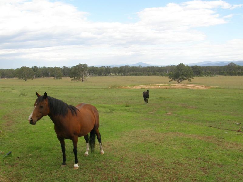 474 Sawpit Creek Road, Briagolong VIC 3860