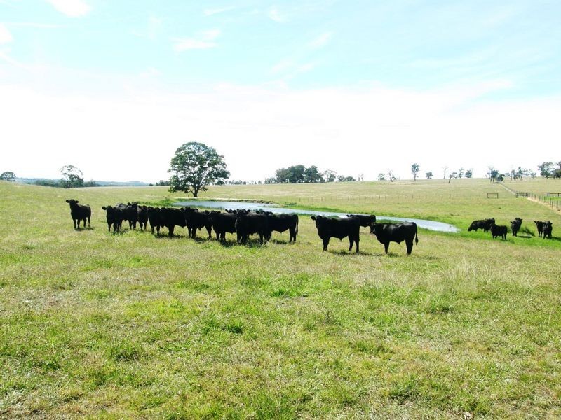 Lot 1 & 2 McLachlans Road, Tinamba VIC 3859