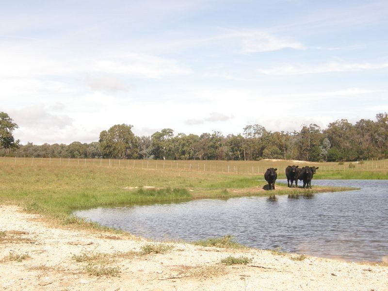 Lot 1 & 2 McLachlans Road, Tinamba VIC 3859