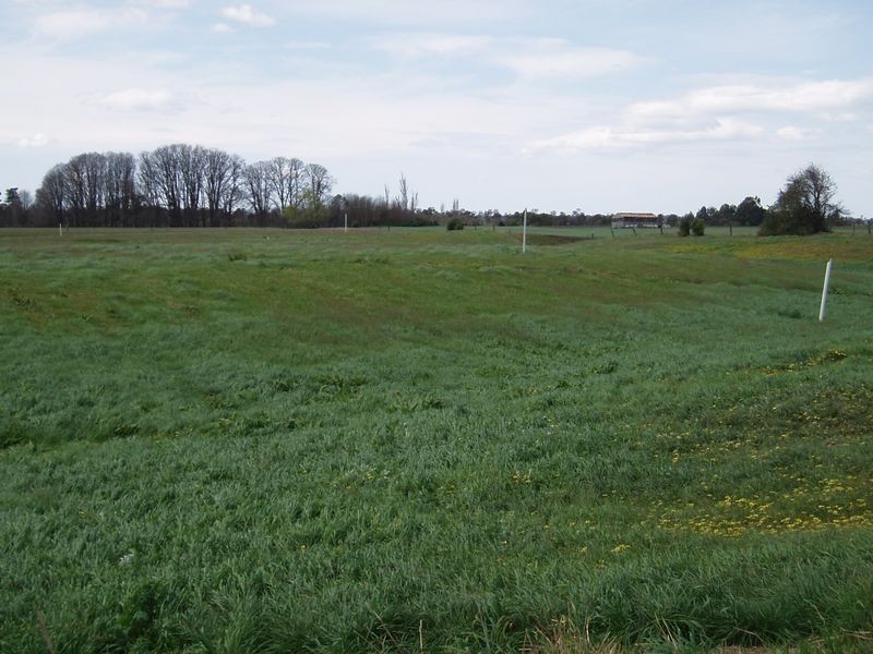 Maffra-Briagalong Road, Boisdale VIC 3860
