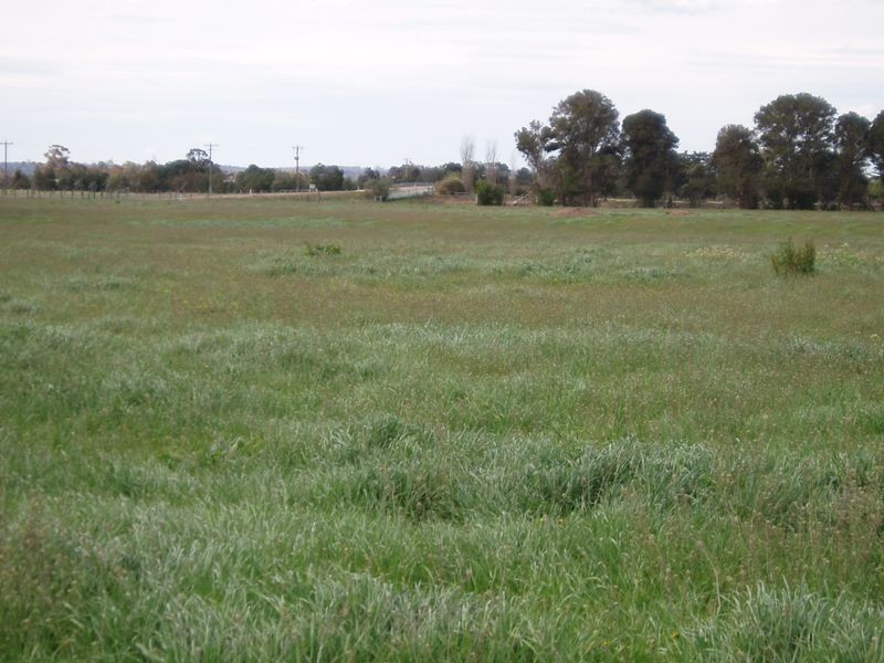 Maffra-Briagalong Road, Boisdale VIC 3860