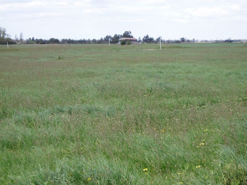 Maffra-Briagalong Road, Boisdale VIC 3860