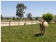 213 Sandy Creek Road, Maffra VIC 3860
