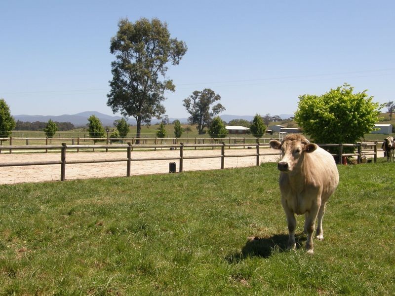213 Sandy Creek Road, Maffra VIC 3860