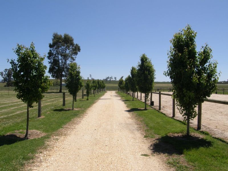 213 Sandy Creek Road, Maffra VIC 3860