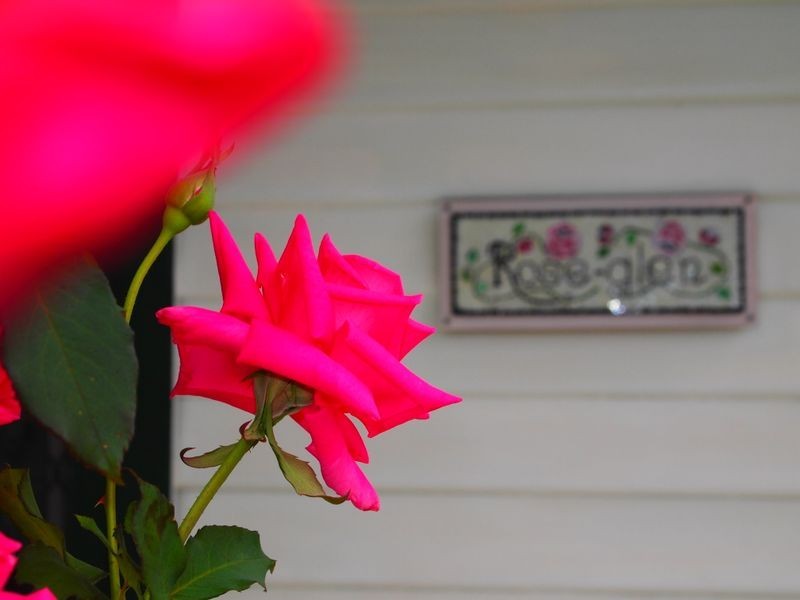 39 Queen Street, Maffra VIC 3860