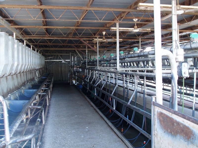 417 Lower Newry Road, Newry VIC 3859