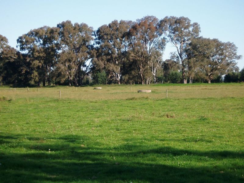 417 Lower Newry Road, Newry VIC 3859