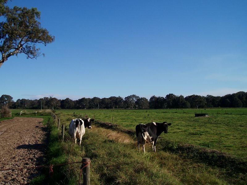 417 Lower Newry Road, Newry VIC 3859