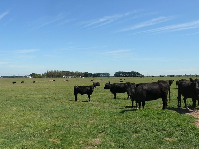 Clydebank-Bengworden Road, Clydebank VIC 3851