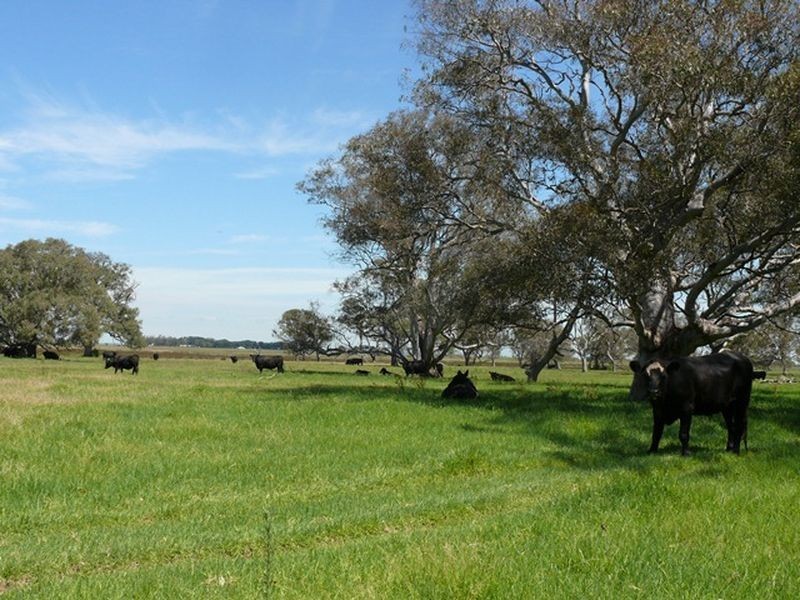 Clydebank-Bengworden Road, Clydebank VIC 3851